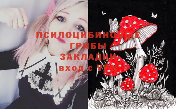 не бодяженный Алексин