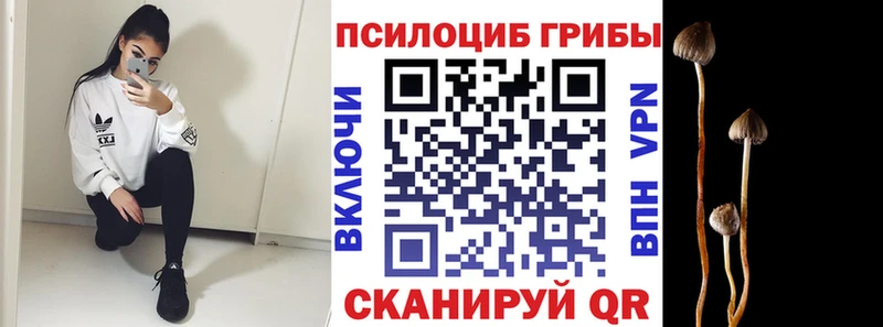 Псилоцибиновые грибы Magic Shrooms  Лениногорск 