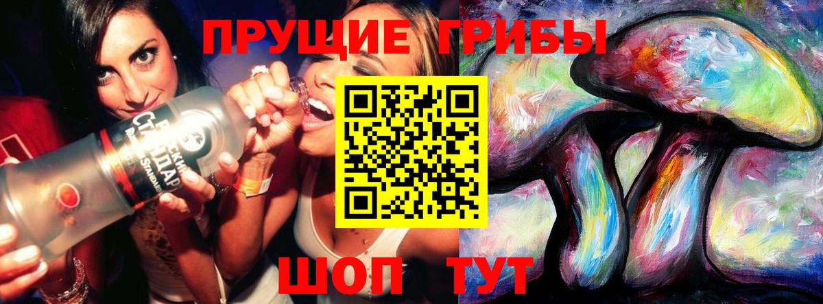 Галлюциногенные грибы Psilocybine cubensis  Вход с VPN  Лениногорск 